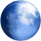 Pale Moon 33.8.1.1