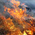 مهار آتش‌سوزی در مراتع گشنیزجان چادگان