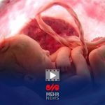 کاهش چشمگیر آمار سقط جنین در کشور با اجرای طرح «نفس»