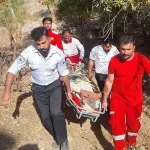 مصدومیت یک کارگر الموتی بر اثر سقوط از درخت انار