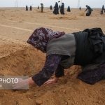 پویش کاشت نهال با عنوان "در سایه مادر"