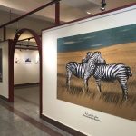 تلاش برای تثبیت دوسالانه کارتون تهران در رویدادهای جهانی