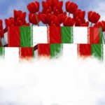 پدر شهید جعفر مالمیر به فرزند  شهیدش پیوست