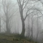 فوت کوهنورد لاهیجانی پس از ایست قلبی در مسیر