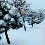 هواشناسی مازندران نسبت به وقوع سیلاب، کولاک برف و یخبندان هشدار داد