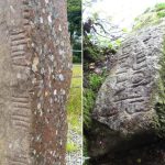 انتشار لغت‌نامه یک زبان باستانی